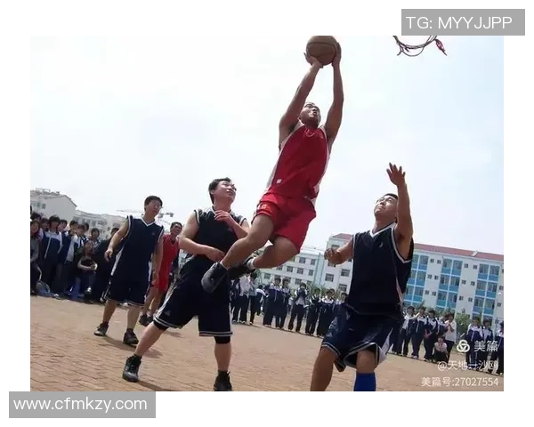 南京篮球队的辉煌征程与冠军赛背后的奋斗故事